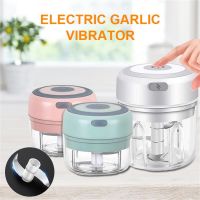 【CW】 Electric Garlic Masher Durable Crusher USB Charging Crushed Ginger