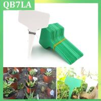 100pcs Plant Tag T Type Plant Markers Label Nursery Pots GardenTool  for Plant Flower Pot Vegetable Tray Sign Card QB7LA Shop