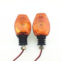 Electric Tricycle Taillight Direction Light Turn Signal Front Turn Signal with Light Bulb 48V 60V 12V