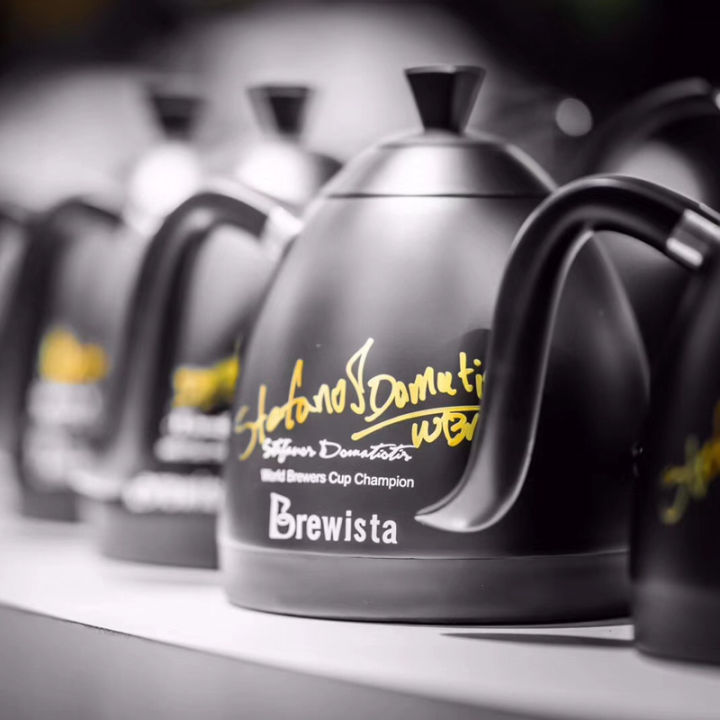 brewitsa-600ml-champion-signature-stainless-steel-gooseneck-electric-coffee-kettle