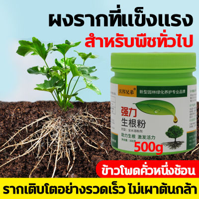 ผงเร่งรากพืช ผงเร่งราก ผงเร่งรากคอมโบ น้ำยาเร่งราก ยาเร่งราก 500g อุดมไปด้วยธาตุจำนวนมาก ส่งเสริมการเจริญเติบโตของรากพืช ปรับปรุงภูมิคุ้มกันของพืช แก้ปัญหาเช่นรากเน่า ใบตาย และดอกไม้ตาย สารเร่งราก สารเร่งรากพืช