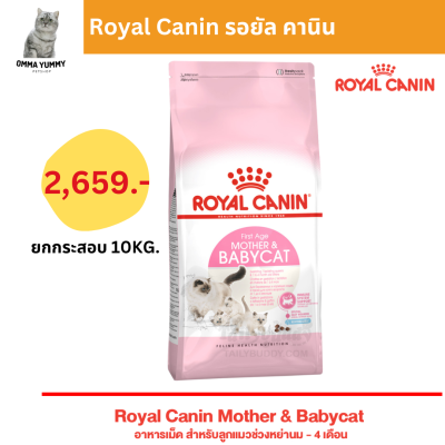 Royal Canin Starter Mother &amp; Baby Cat 10KG อาหารแม่แมวตั้งท้อง-ให้นม และ ลูกแมวอายุต่ำกว่า 4 เดือน