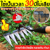 ?ส่งของจากกรุงเทพ ทนทาน!20ปีไม่พัง! หัวมีดหักจะช่วยจัดการให้ คราด คราดเหล็ก คราดหญ้า คราดถากหญ้า 7ฟัน 6ฟัน 5ฟัน 4ฟัน คาดหญ้า คราดเหล็ก คาดหญ้าเหล็ก คราด อุปกรณ์ทำสวน คราดมีด้าม ใช้ขุดดิน ขุ่นถางหญ้าดายหญ้า จอบถากหญ้าเล็ก