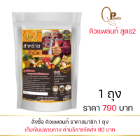 Q-Plants สาหร่ายฮิวมิคสูตร 2