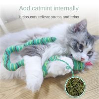 TEXSmall Snake Shape Interactive Cat Toy Bite-resistant Add Catnip Inside Plush Toy Snake Weight 32g Skin-friendly Wool Fabric