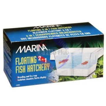 Shop Float Fish Box online - Jan 2024