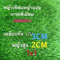 ??โปรพิเศษ หญ้าเทียม เกรด 2CM (AAAAA+) 1x1 มีรูระบายน้ำ เขียวสด สีหญ้างาม จำหน่ายเป็นตารางเมตร ราคาถูก หญ้า หญ้าเทียม หญ้าเทียมปูพื้น หญ้ารูซี หญ้าแต่งสวน แต่งพื้น cafe แต่งร้าน สวย ถ่ายรุป