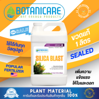 (ขวดแท้) Botanicare - Silica Blast [1 ลิตร] ปุ๋ยเสริมซิลิก้า ทำให้ต้นแข็งแรง รับน้ำหนักได้มากขึ้น เพิ่มผลผลิต 10-20%