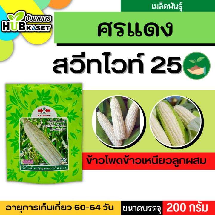 ศรแดง 🇹🇭 ข้าวโพดข้าวเหนียวลูกผสม สวีท ไวท์ 25 F1 ขนาดบรรจุ 200 กรัม อายุเก็บเกี่ยว 60-64 วัน