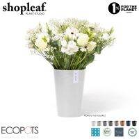 [A Boutique]❉ Ecopots Pisa 17สีขาวบริสุทธิ์ (หม้อพลาสติกรีไซเคิล17ซม./7นิ้วสำหรับดอกไม้พืช)