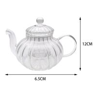 High Borosilicate Glass Teapot with Removable Infuser Clear Heatproof for Blooming and Loose Leaf 600ml Tea Kettle Tea Pots