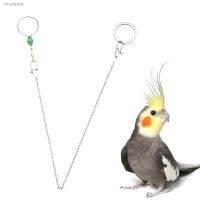 ♦✎ Bird Chain Leash Stainless Bird Collar Chain Safety Buckle Design Safety Foot Chain Small Feathered Animal With 8-character Ring