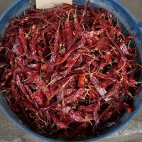 ?ถูกเวอร์? (200g) Dry chilli, dried chilli, suitable for making peppers, spicy curry, dried chilli, cooking พริกแห้งเดียก้าน พริกแห้ง เหมาะทำ พริกแกง เผ็ด พริกแห้งทำอาหารJR6.4106?ของมีจำนวนจำกัด?