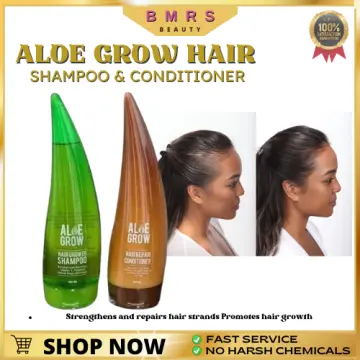 Aloe Vera Hair Masks: Revitalize Growth, Dandruff, and Texture