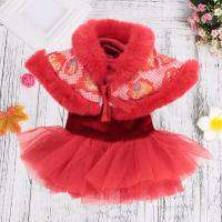 Trendy Chinese Tang Pet Clothes Bow-knot Thermal See-through Mesh Two Legs Dog Winter Dress Dresses