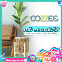 COZZEE ขาตั้งกระถางต้นไม้ ชั้นวางต้นไม้​ แบบไม้ สีธรรมชาติ เเข็งเเรง สวยงาม ไม่รวมกระถาง