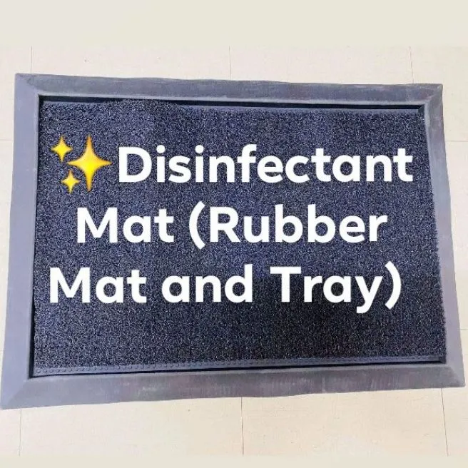 Disinfectant Mat Lazada PH