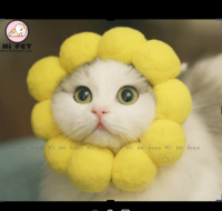 Zalu❤ อุปกรณ์สัตว์เลี้ยง Pet headdress sunflower ดอกทานตะวันหมวกแมว หมวกสุนัข สร้อยคอแมว สร้อยคอสุนัข S 6#11