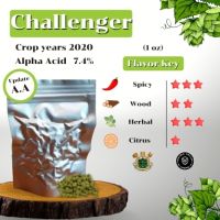 Challenger Hops UK (1oz) Crop years 2020 (บรรจุด้วยระบบสูญญากาศ)