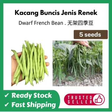 Shop Kacang Panjang Renek online  Lazada.com.my