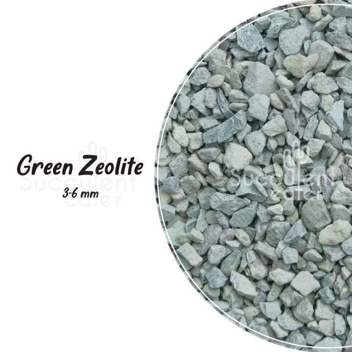 1Kg Green Zeolite Stone Soil Succulent Cactus Aquarium Garden 绿沸石 Lazada