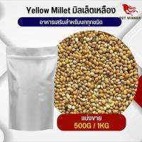 Yellow Millet มิลเล็ตเหลือง อาหารนก กระต่าย หนู กระต่าย กระรอก ชูก้า และสัตว์ฟันแทะ อาหารสำหรับสัตว์เลี้ยง (แบ่งขาย 250G / 500G / 1KG)