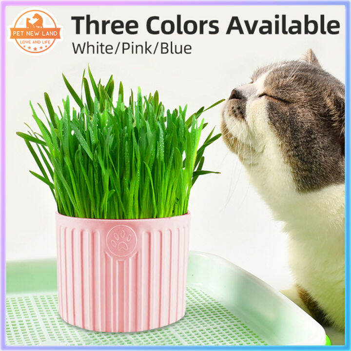 Pet New Land Organic cat grass suit cat helps digestion, cleans mouth and removes hair balls