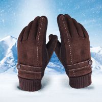 【CW】 Windproof Gloves Leather Thickened Cold Warm Cotton Real Pigskin Cycling