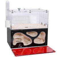 อะคริลิค Ant Farm Infinite ขยาย Ant Nest อุณหภูมิควบคุมคอนกรีตแมลง House Colony Drinker Anthill Kit อุปกรณ์เสริม