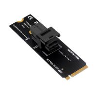 M.2 Ngff 2280 M ปุ่ม Pcie X4เพื่อ Sff8639 Riser อะแดปเตอร์ขยาย M.2 Nvme Pci E 4.0เพื่อ Sff 8643 U.2อะแดปเตอร์ Ssd 64gt/S