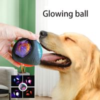 LED Dog Ball Interactive Toy Lights Up Pet Ball For Aggressive Chewers Play Pet Ball Toy Pet Supplies Kitten Cat Exercise Toy Toys