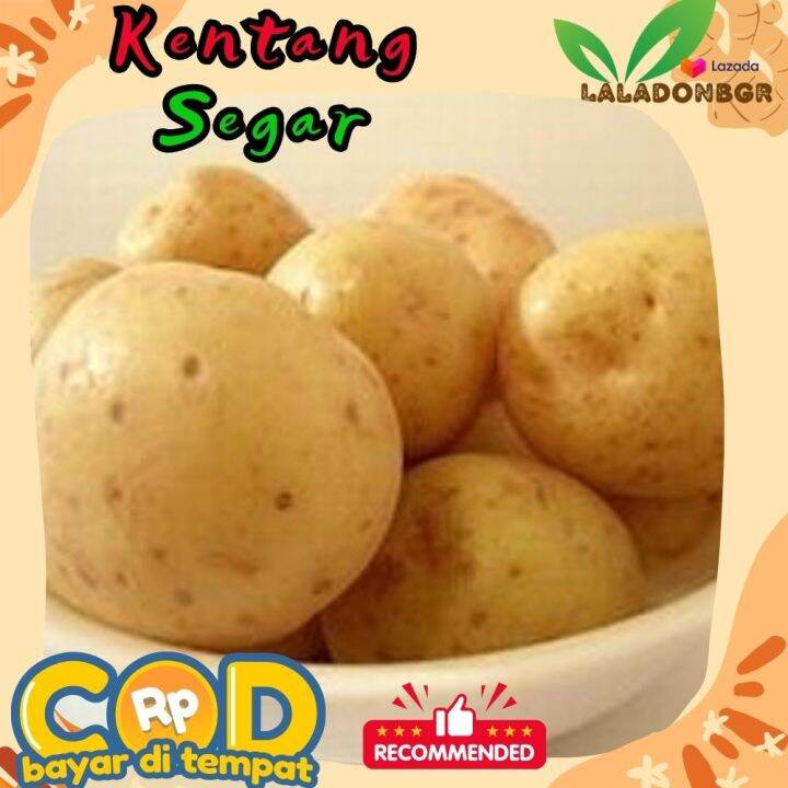 Kentang Dieng 1kg | Lazada Indonesia