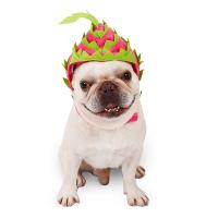 Pet Costume Dog Cat Headgear Halloween Dragon Fruit Design Hat Dog Cat Adjustable Cap for Halloween Xmas Festival Birthday Theme Party Photo Prop