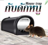 ที่ดักหนู Mouse trap กับดักหนู สำหรับในบ้านที่ต้องการความสะอาด