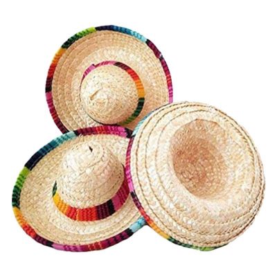 Pcs Natural Straw Mexican Dog Hat Mini Sombrero Pet Shower Birthday Party Decoration Tabletop Party Pet Puppy Gifts Supplies