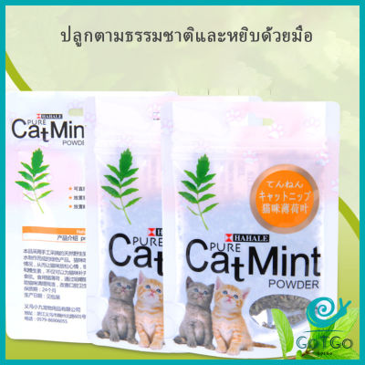 GotGo ผงแคทนิป &amp; ผงมาทาทาบิ ซองซิบ "พลาสติก"  ของแท้ 100% โรยของเล่นแมว 5g (พร้อมส่ง) Catnip มีสินค้าพร้อมส่ง
