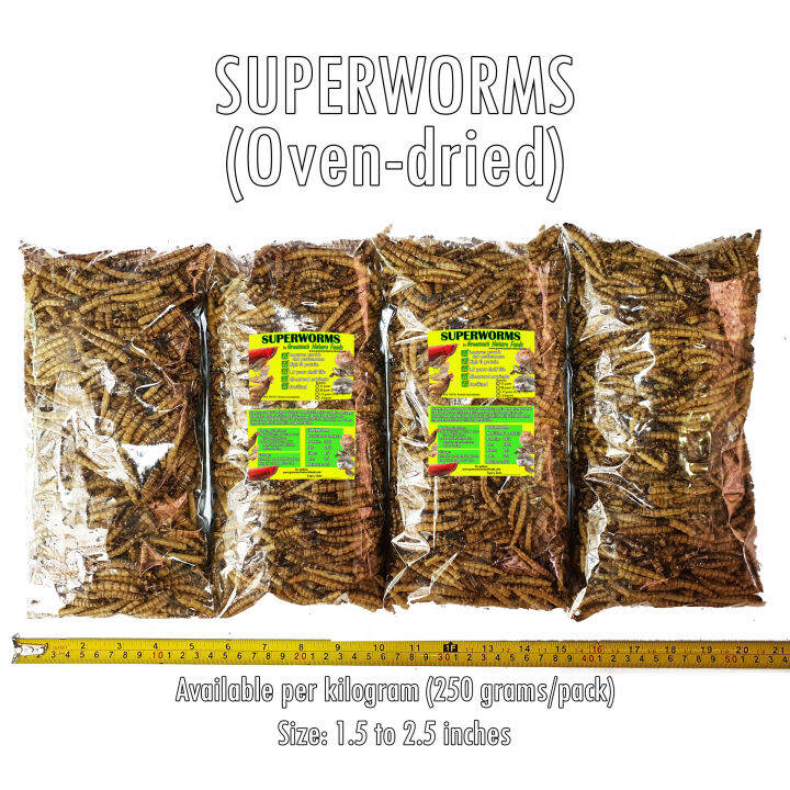 DRIED SUPERWORM (500g, 1 kg) Pet Food (GREENSECT) Lazada PH