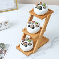 Modern Cat Paw Nursery Pots Ceramics Cartoon Cute Kitten Paw Bamboo Frame Combination Flower Pot Desktop With Tray Potted Plants