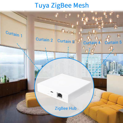 Tuya สมาร์ทชีวิต ZigBee 3.0ม่านตาบอดสวิทช์สำหรับลูกกลิ้งชัตเตอร์ไฟฟ้ามอเตอร์ บ้านอเล็กซ์ mqtta Echo การควบคุมเสียง DIY