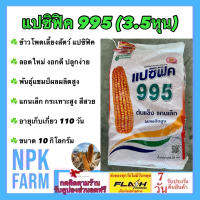 ข้าวโพดเลี้ยงสัตว์ แปซิฟิค 995 (3.5 หุน) ขนาด 10 กิโลกรัม หมดอายุ 01/12/2567 เมล็ดกลมกลาง พันธุ์แชมป์ผลผลิตสูง สีสวย แกนเล็ก ระยะเก็บ 110-125 วัน