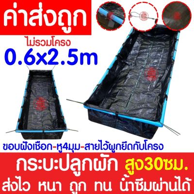 *ส่งไว* กระบะปลูกผัก (0.3x0.6x2.5m) กะบะปลูกผัก กระบะเพาะปลูก กะบะเพาะปลูก แปลงผักเพาะปลูก แปลงปลูกผัก ถุงกะบะปลูก ถุงกระบะปลูก ปลูกผัก