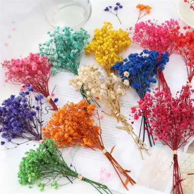 1/3 Bunch Gypsophila Dried Flowers Home Wedding Decoration Flora Bouquet Artificial Flowers Valentines Day Gift Craft