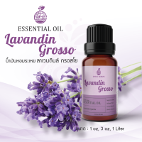 Lavandin Grosso Essential Oil / น้ำมันหอมระเหย ลาเวนดิน / 1 oz