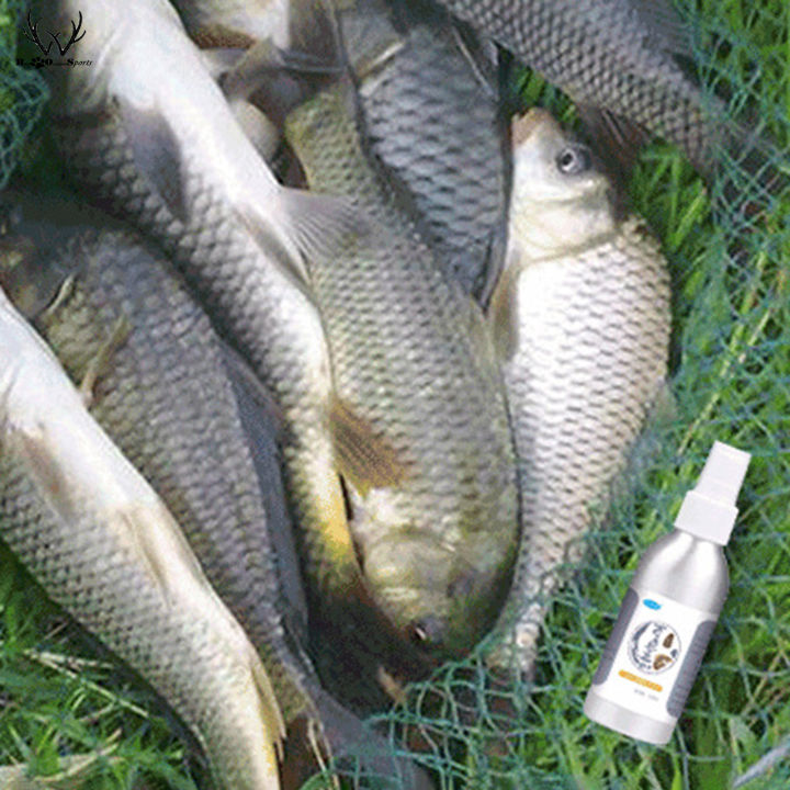 เหยื่อตกปลาปลาคาร์พ-crucian-สำหรับเหยื่อหญ้าปลาคาร์พ-crucian-เหยื่อตกปลาที่มีรสชาติเป็นธรรมชาติแบบกว้างสเปกตรัม