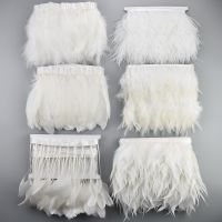 1Meters Pheasant Feathers for on Tape Rooster Turkey Marabou Fringe Trim Decoration