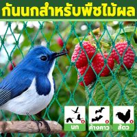 อวนล้อมไก่ ตาข่ายล้อมไก่ ตาข่าย-อวน-สีเขียวขี้ม้า ขนาดสูง1.5/2เมตร ยาว10-15เมตร ตาข่ายกันนก ตาข่ายกั้นนก ตาข่ายล้อมไก่ กรงไก่