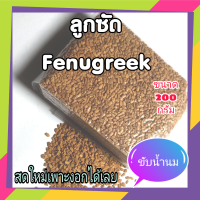 ลูกซัด ถั่วลูกซัด สมุนไพรขับน้ำนม ขับน้ำนม Fenugreek   เพาะงอกไมโครกรีน Microgreens  ขนาด 200 กรัม organic 100%