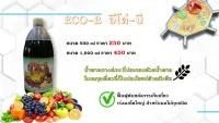 ฮอร์โมนพืช ECO-B อีโค่บี น้ำตาลทางด่วน เร่งผลใหญ่ เพิ่มความหวาน ขนาด 500 ml.