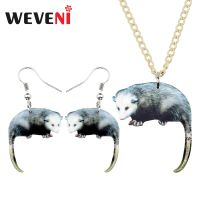 【Transparent thinking】 WEVENI อะคริลิสีเทาละตินอเมริกา Possum สร้อยคอต่างหูชุดเครื่องประดับแปลกแฟชั่นเด็กวัยรุ่นเสน่ห์พรรคของขวัญอุปกรณ์เสริม