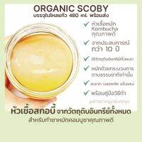 สินค้าขายดี? KOMBUCHAคอร์สเรียน/คอร์สสอนทำชาหมักคอมบูชา ออนไลน์  ONLINE รับฟรี ชุดผ้าคลุมโหลส่งถึงบ้าน